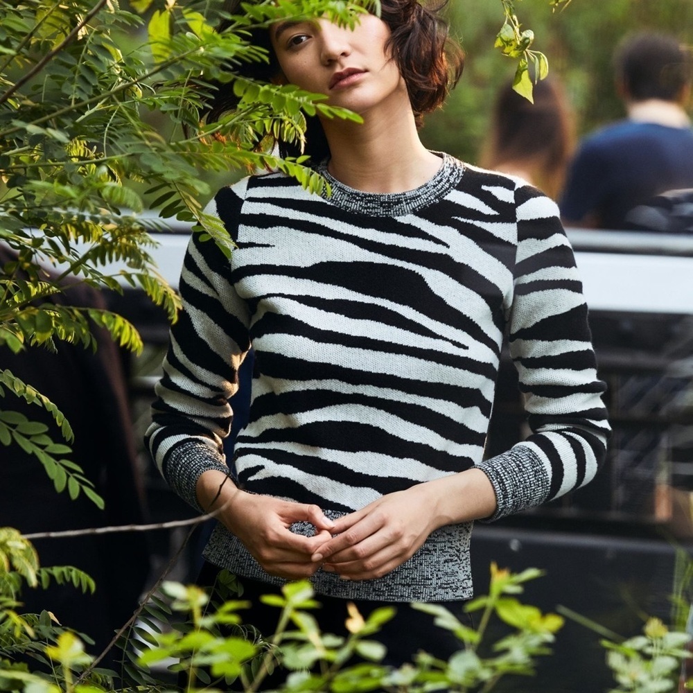 Banana Republic Merino wool blend Zebra print sweater